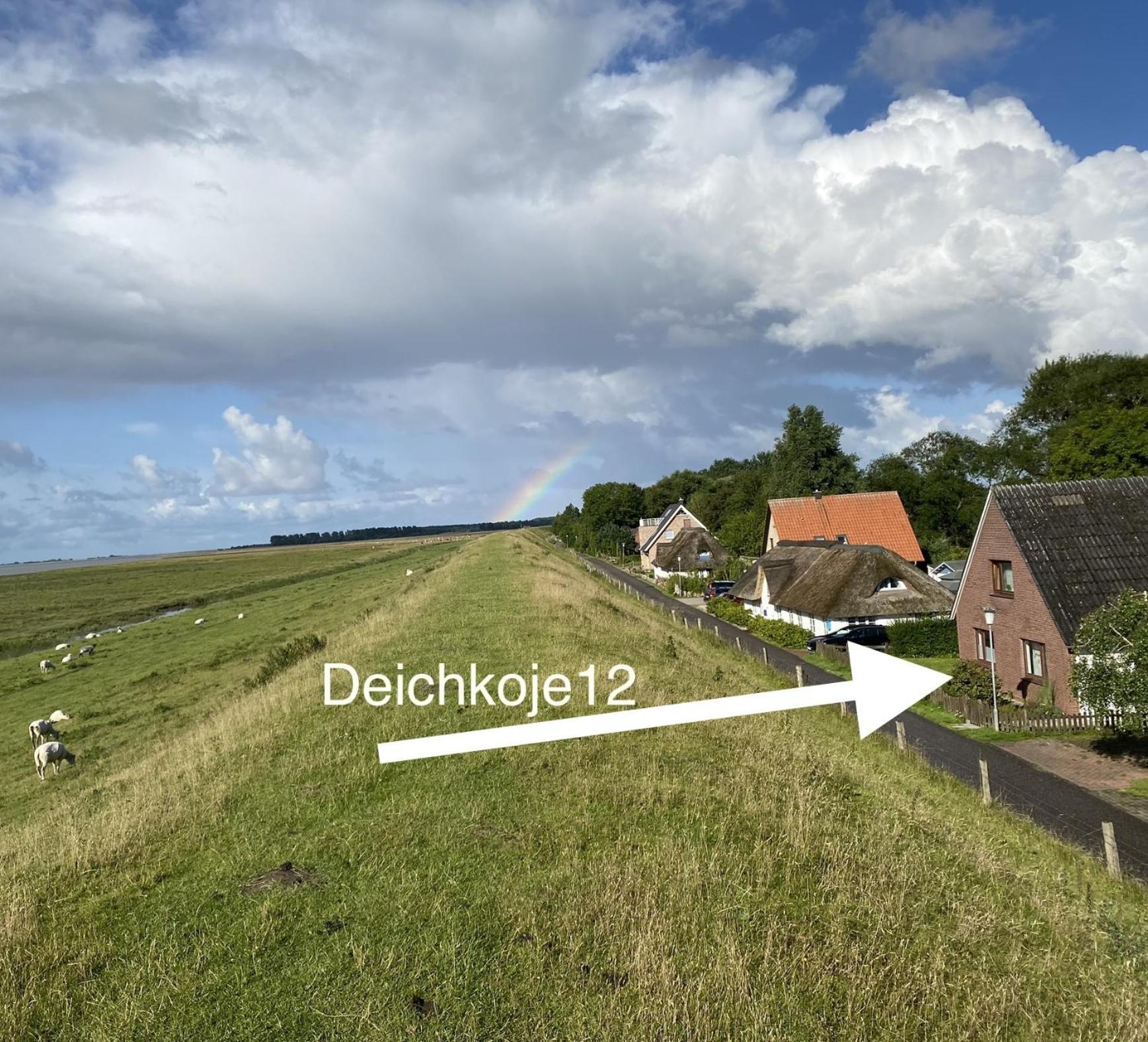Deichkoje12 Direkt Am Eiderdeich Nur 7 Km Bis Zur Nordsee Und 20 Min Bis Sankt Peter Ording Tönning المظهر الخارجي الصورة